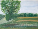 Landschaft - 2005