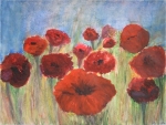 Mohnblumen - 2006
