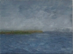 Boddenlandschaft - 2008