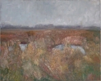 Boddenlandschaft - 2008